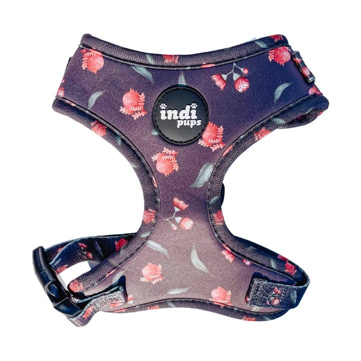 Banksia Bloom sele för wholesale av Indi Pups