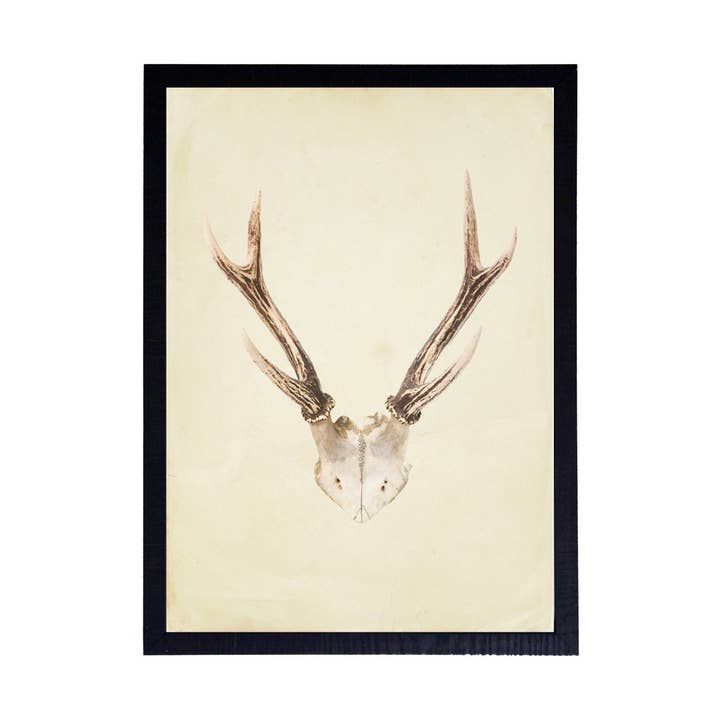 bois de cerf verticaux pour la vente par Antique Curiosities Inc