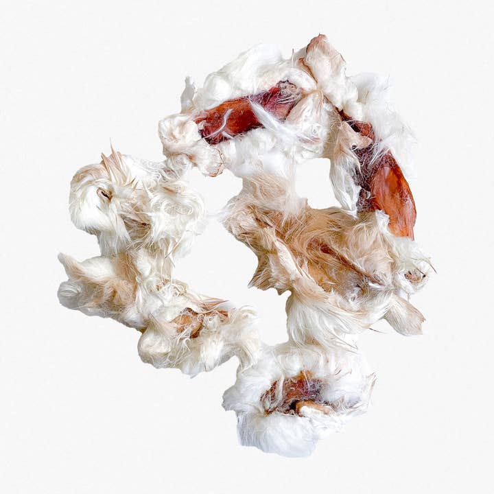 Wild n Fresh Treats - Wholesale Pet treats – Dog - Dehydrated Rabbit Hide Chips5