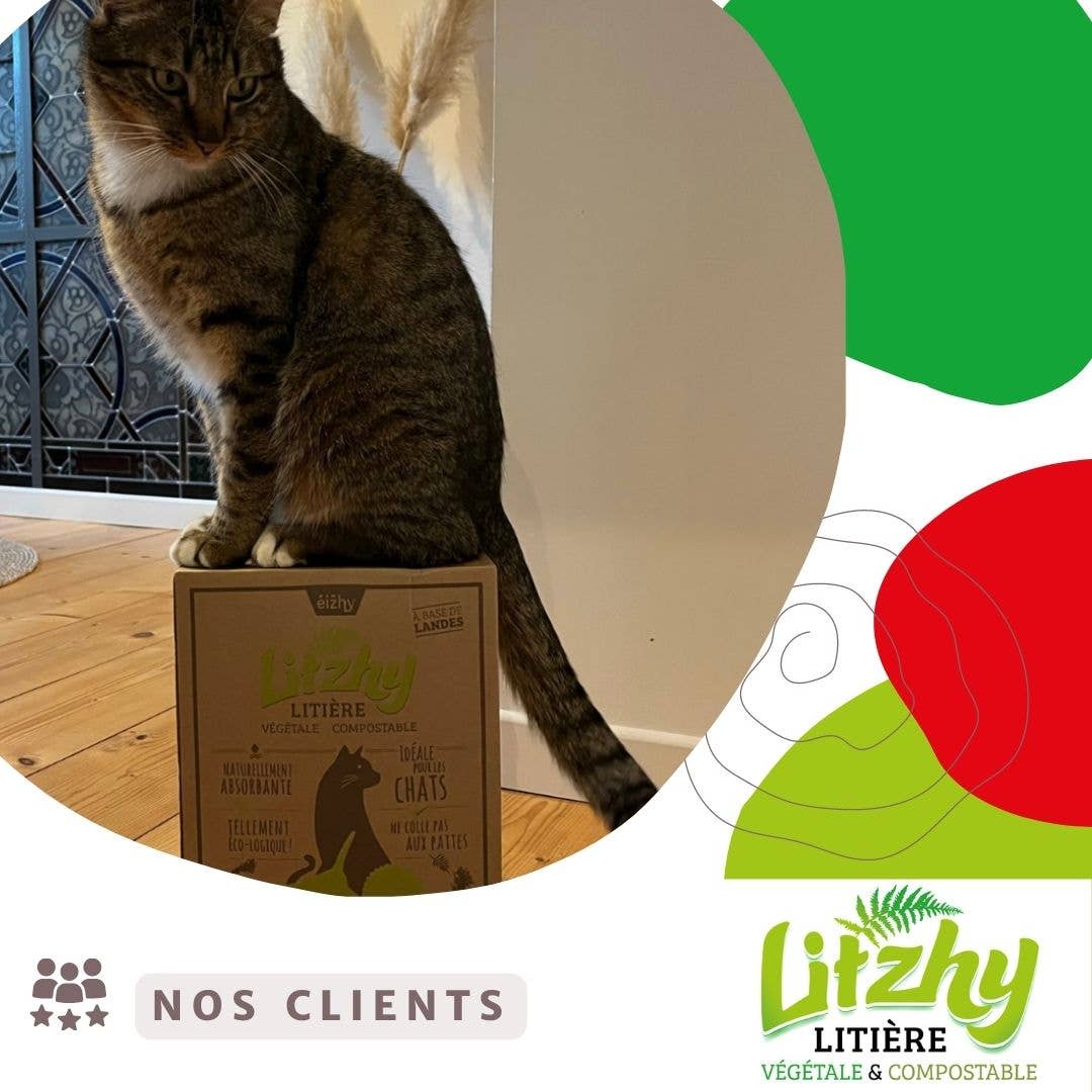 eizhy - Wholesale Cat Litter - Litzhy Landes: Vegetable litter - Landes Bretonnes2