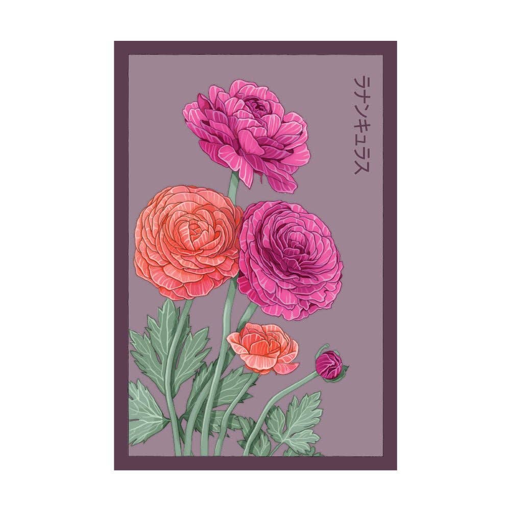 Chive Canada - Wholesale Plant Seeds - Shido Ranunculus Flower Plant Seeds with Flower Food0