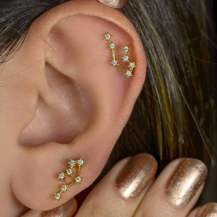 StockJWL - Wholesale Stud/Post Earrings - 12 Zodiac Earrings, Constellation Stud Earring Stud Piercing Tragus Helix Lobe and Cartilage Silver And Gold15