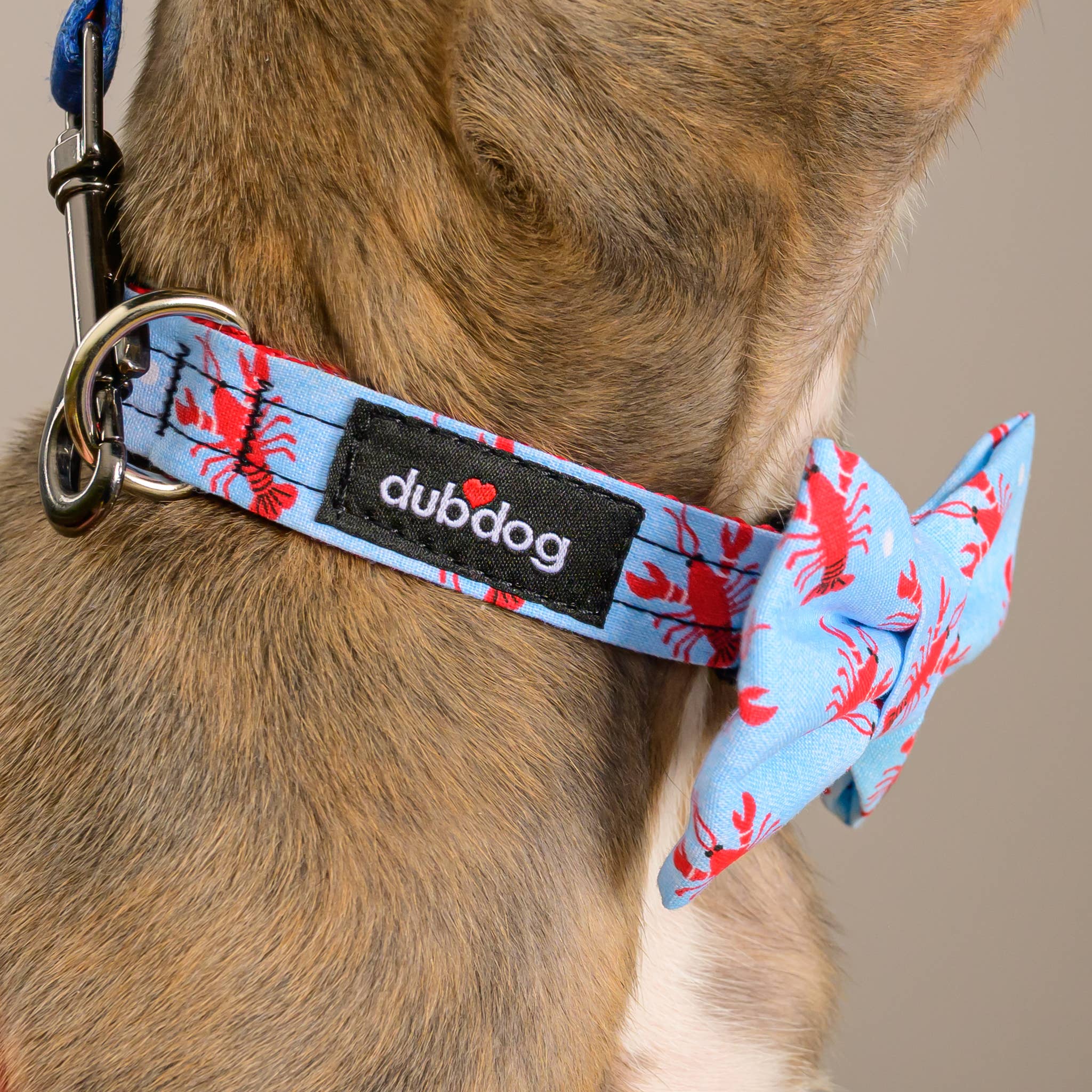 Dubdog Designs - Wholesale Pet Collar - Dog - Sebastian Dog Collar1