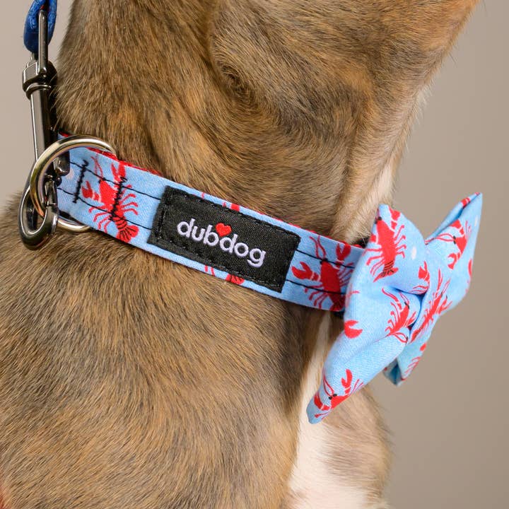 Dubdog Designs - Wholesale Pet Collar - Dog - Sebastian Dog Collar1