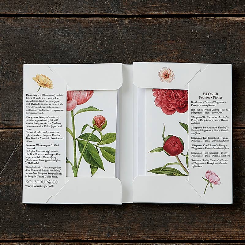 Koustrupco - Wholesale Stationery/Notecard Set - Pæonier- Peonies- cardfolder- set of 8 different cards w/env1