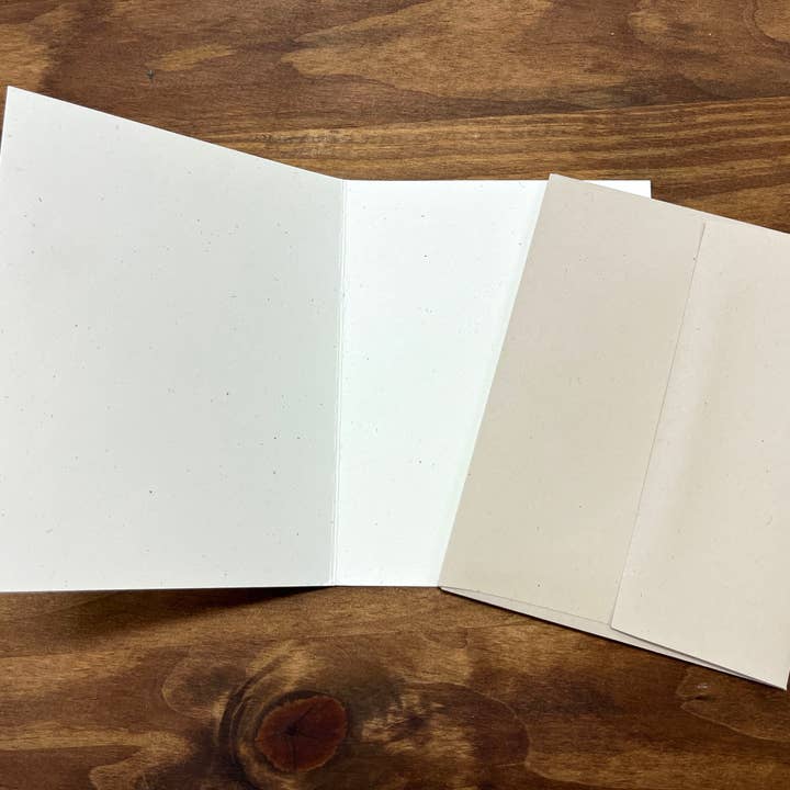 Fox & Comet - Wholesale Stationery/Notecard Set - Animal Note Card - Possum