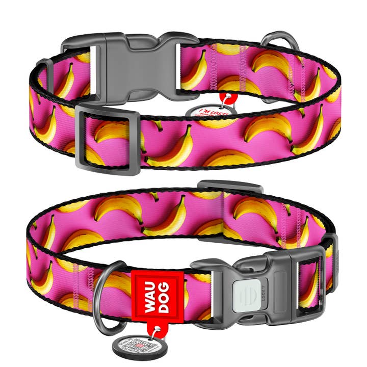 Nylon Collar With Plastic Clasp for wholesale by WAUDOG