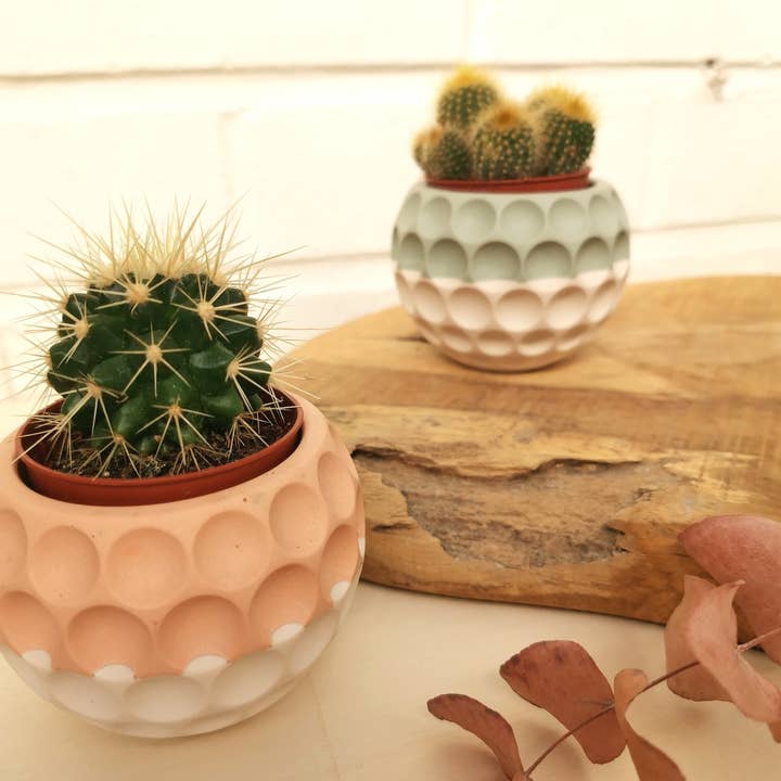Vinci dEco - Wholesale Vase - Mini Bubble Jar Mini Cactus Ball Vase