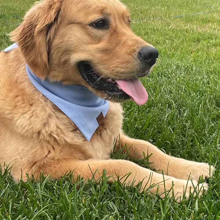 Tiny Tuckets - Wholesale Pet Bandana - Dog - Bamboo Dog Bandana5