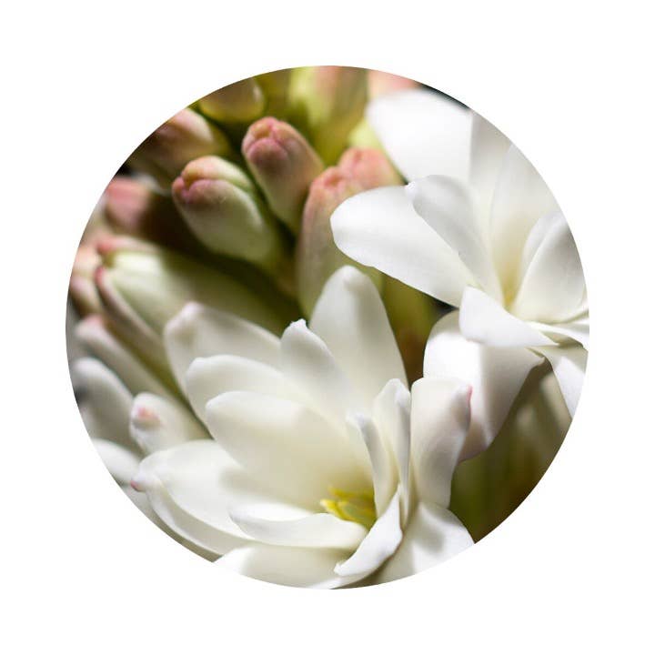 L'Atelier 100BON - Vente Parfum/Eau de toilette - Bois & Poudre (Bois & Poudre) - Eau de Toilette - 30 ml2