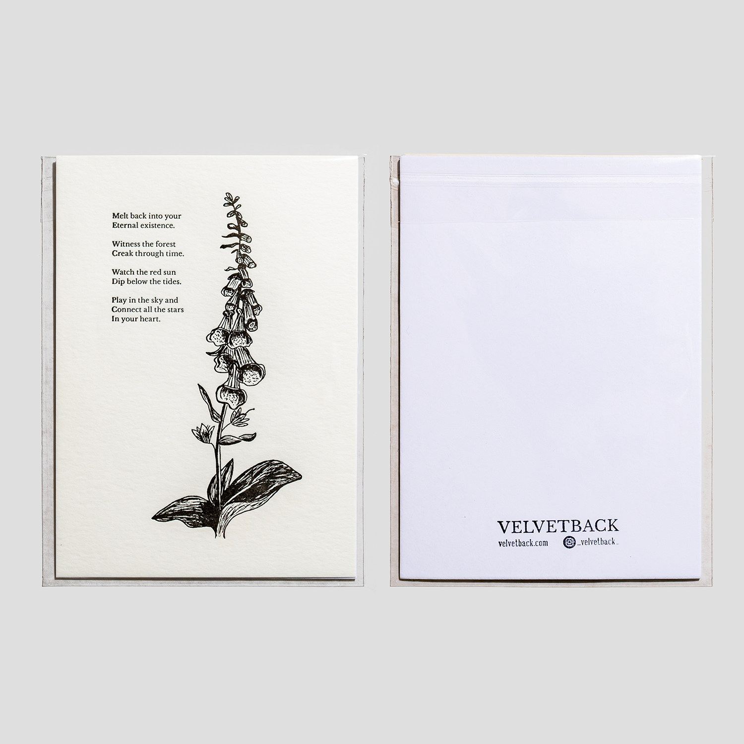 Velvetback - Wholesale Art Print - Foxglove 5" x 7" Botanical Letterpress Print1
