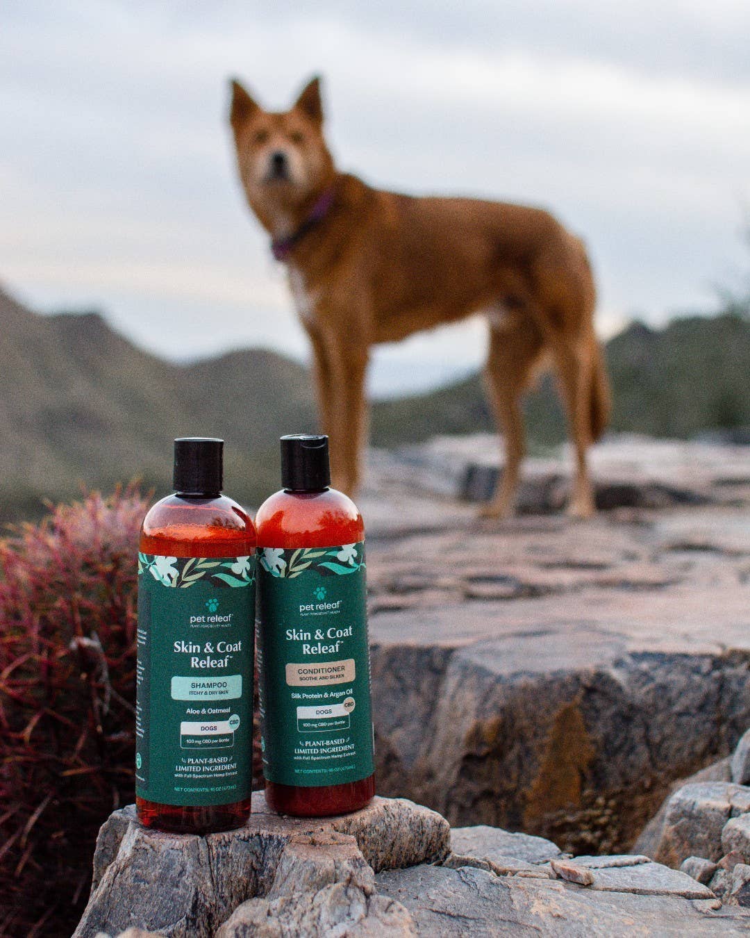 Pet Releaf CBD - Wholesale CBD Pet Products - Topical - Itchy & Dry Skin CBD Shampoo For Dogs4