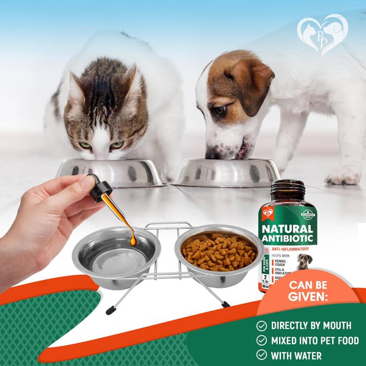 Beloved Pets - Wholesale Pet Supplement - Cat/Dog - Beloved Pets Natural Herbal Antibiotics for Cats and Dogs