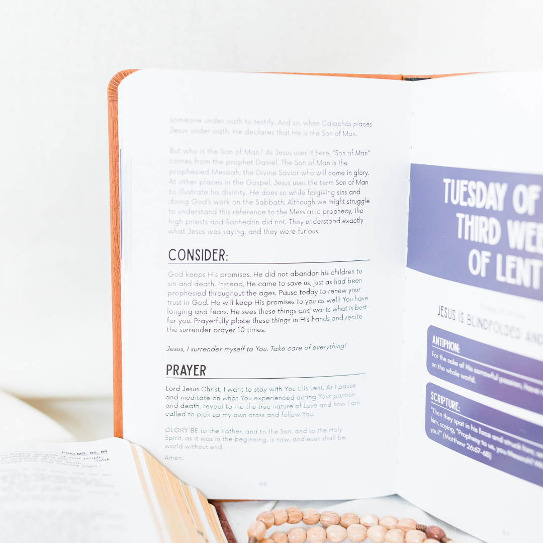 Catholic Sprouts LLC - Wholesale Religion Book - Stay with Me: Lenten Devotional3