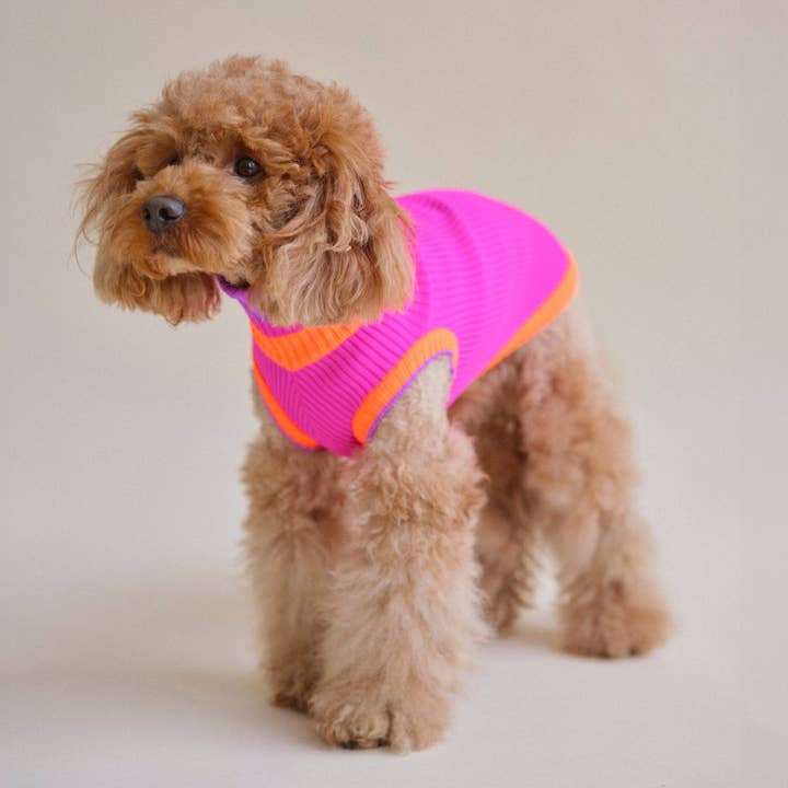 Elektrischer Sonnenuntergang THE GLOW JUMPER 2.0 (Electric Sunset) for wholesale on Faire1