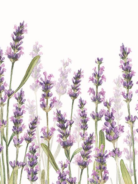 Tovagliolo di carta lavanda 33x33 cm, 3 veli per la vendita all'ingrosso da parte di DH&G