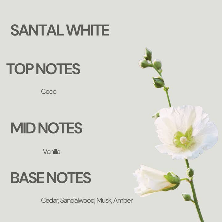 Moon Works – wholesale Roll-on-doft – Santal White | Parfym Roll-on Eau De Parfum 15 ml