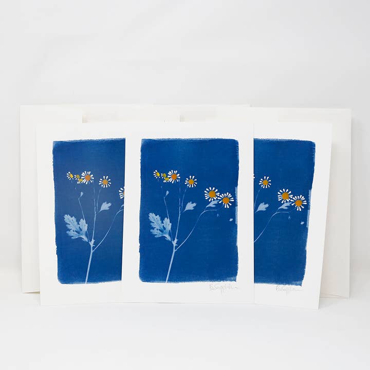 Carte-note giclée à la camomille avec impression 5 « x 7" pour la vente par Little Gem Gallery