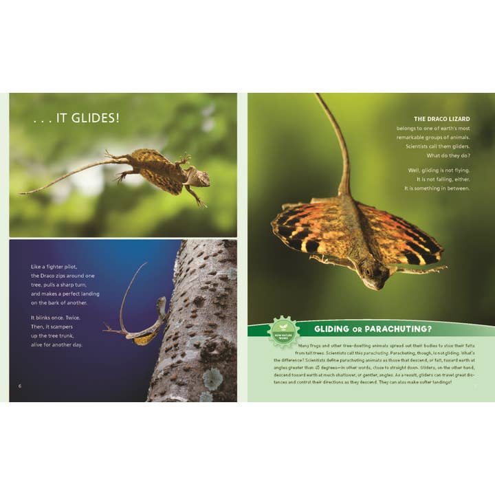 W. W. Norton - Wholesale Early Reader Book (6-8) - Catching Air: Taking the Leap with Gliding Animals2