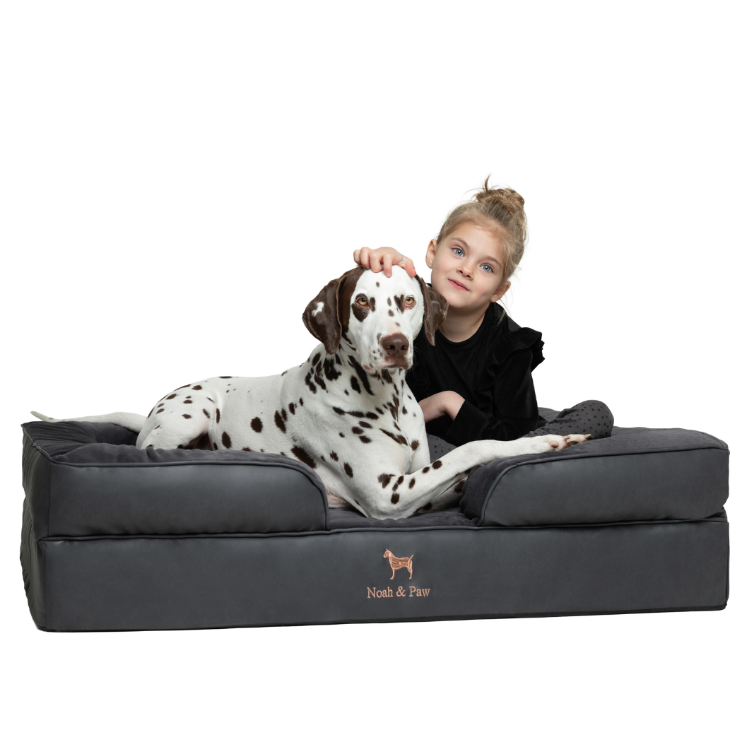 NOAH AND PAW LLC – Großhandel Haustierbett – Katze/Hund – Orthopädisches Hundebett im Sofastil aus Kunstleder mit Memory-Schaum und kühlendem Gel16