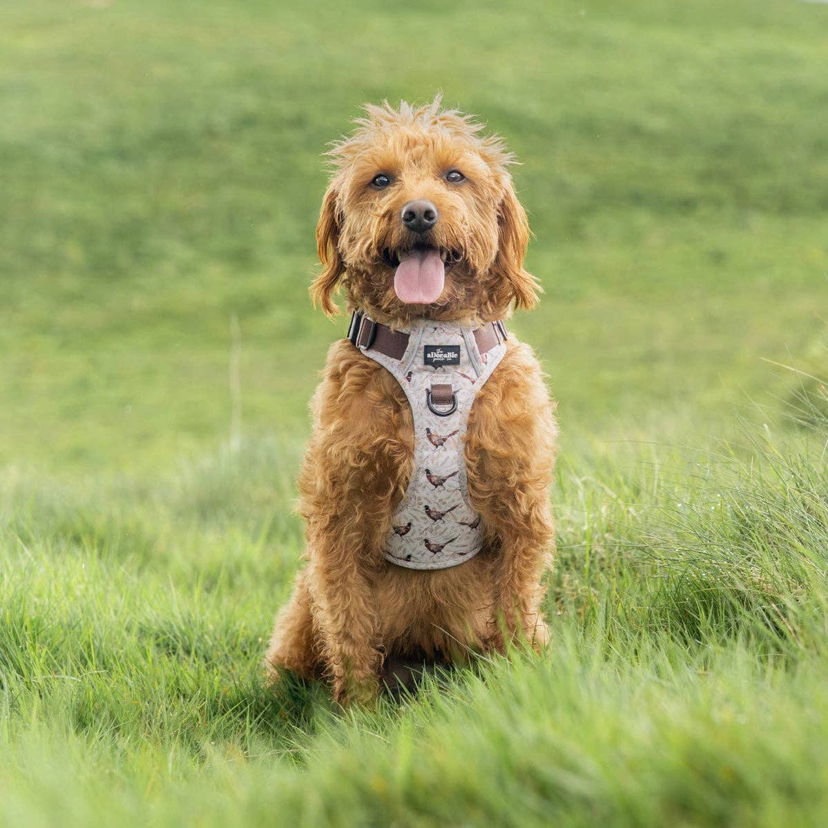 The aDoraBle Pooch Company - Wholesale Tuig voor huisdieren - Hond - Hike & Go™ Harnas - Farmland Fazant36