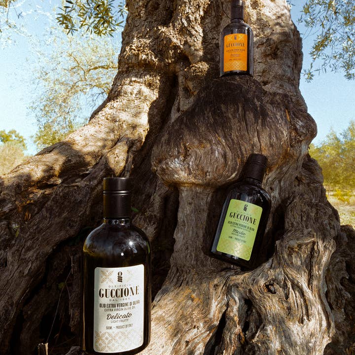 Oleificio Guccione - Vendita all'ingrosso Olio d'oliva - Guccione Delicato 500ml - Olio Extra vergine d'oliva Premium5