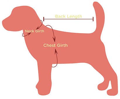 House of FurBaby - Wholesale Pet Collar - Cat/Dog - Personalized Pet Collar | Gold Luxe - 6 color choices11