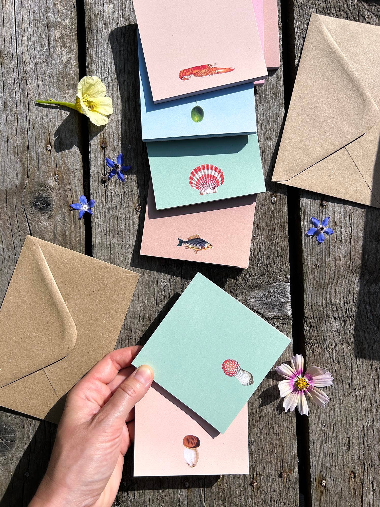 30x40 - Wholesale Notepad - Cyprus [fish] Notepad 10x10cm1