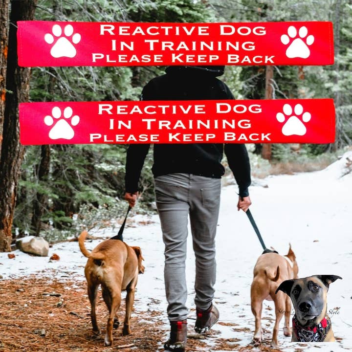 Storms Style - Wholesale Pet Leash - Dog - Lead Slips - Reactive, Nervous, Blind, Deaf, Friendly