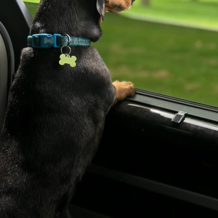 IT GLOWS - Wholesale Pet Identification Tag - Dog - Glow in The Dark Pet Tags/GloPetTag/Dog ID Pet tags/Cat ID Pet Tags/Pet Gift/Engraved Pet tags/Pet name Tag/ID Tag/Glow Key Fob2