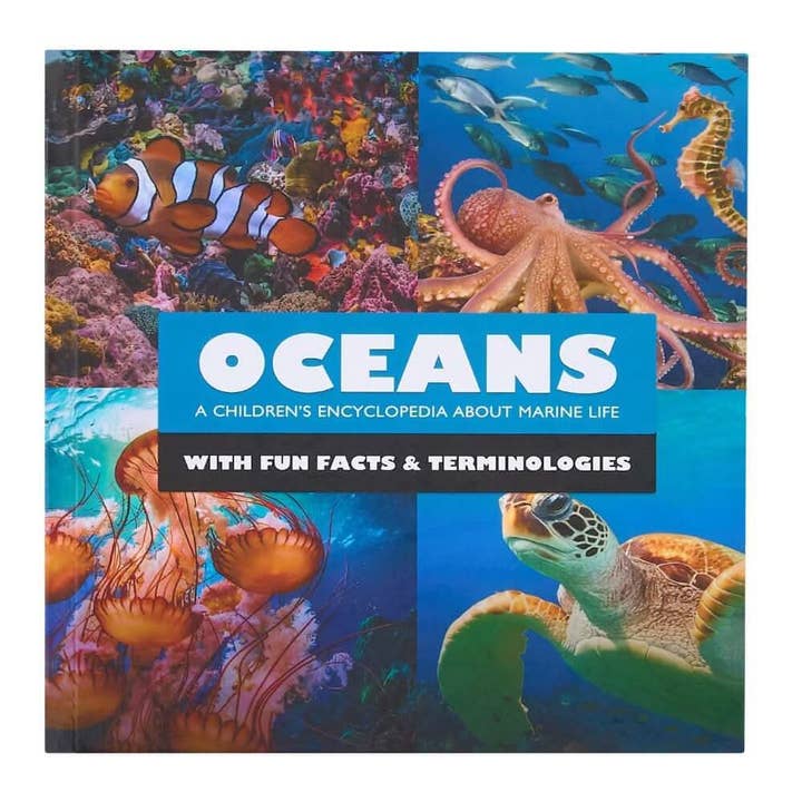 Abracadabra Books - Wholesale Early Reader Book (6-8) - Mini Explorers: Hardcover Box Set5