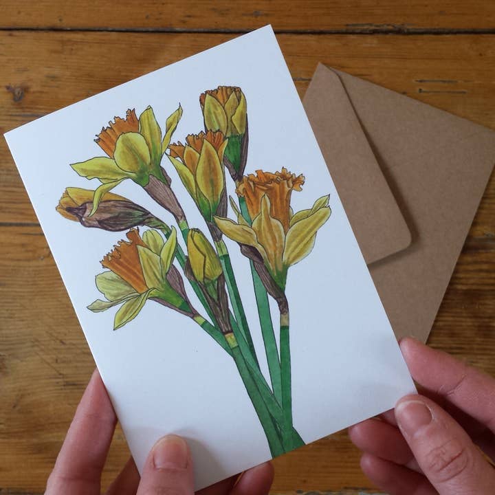 Daffodil Greeting Card, Blank inside for wholesale by Alice Draws The Line