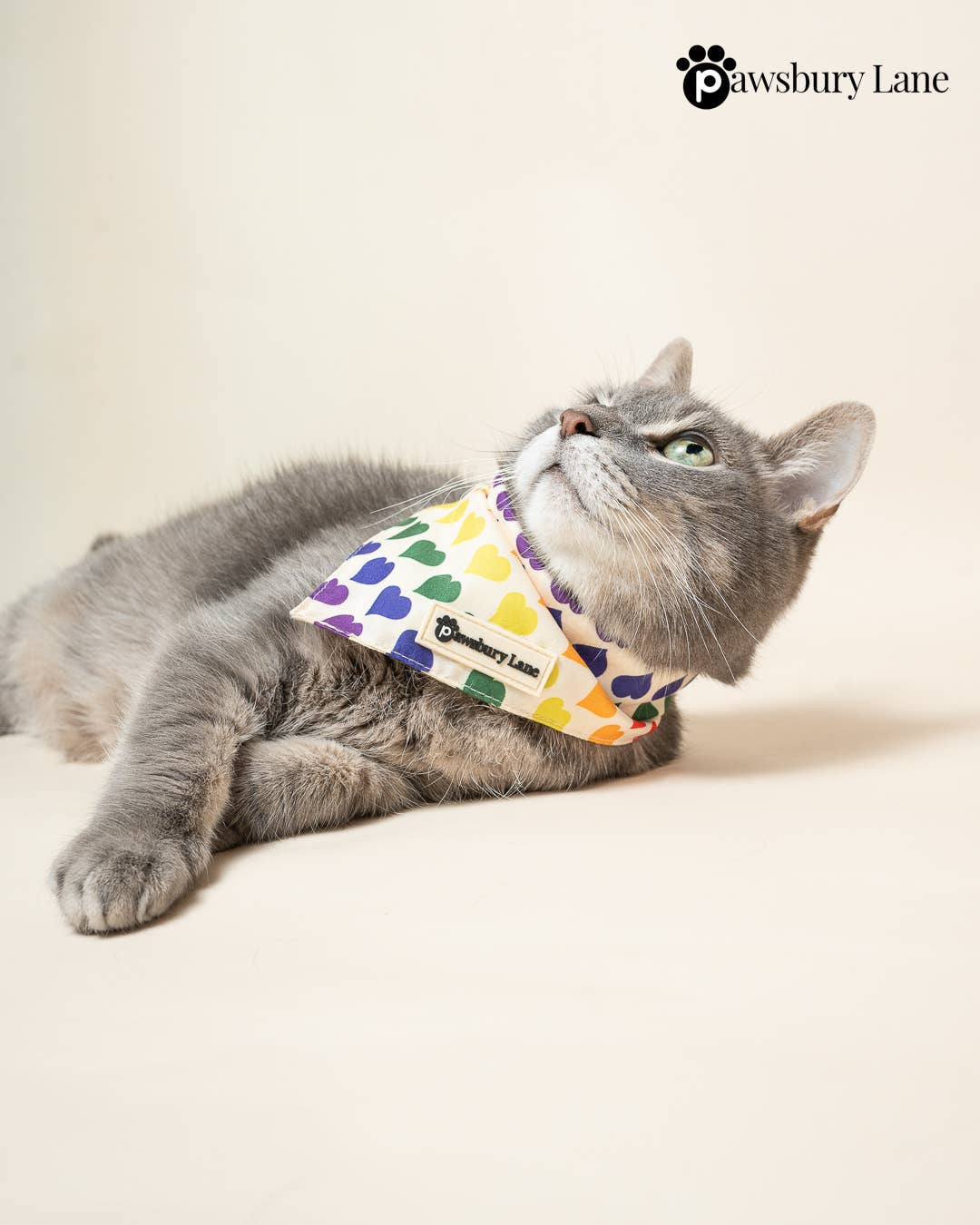 Pawsbury Lane – wholesale Pet bandana – Dog – Matching Pet and Owner: Headband and Bandana - Love in Color4