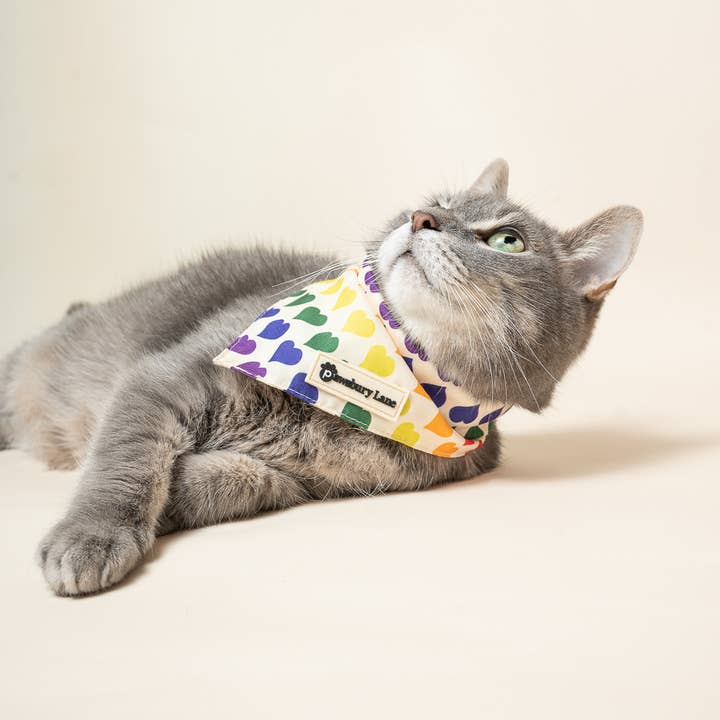 Pawsbury Lane – wholesale Pet bandana – Dog – Matching Pet and Owner: Headband and Bandana - Love in Color4