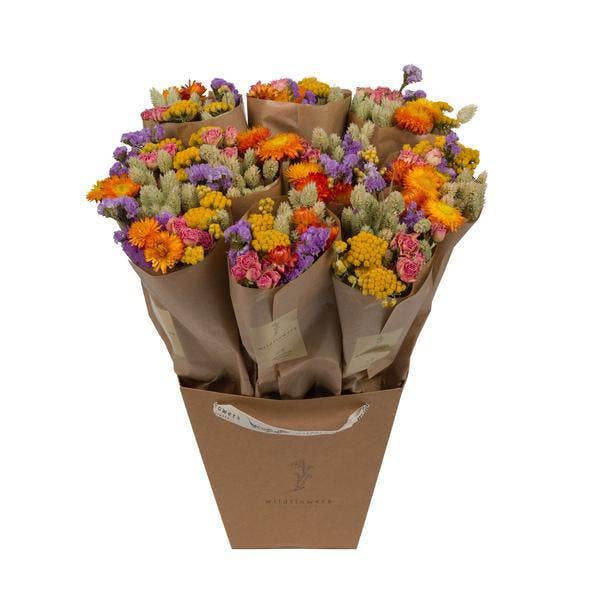 Oasis of Life - Wholesale Dried/Pressed Flowers - Dried Flower Bouquet Market More Multi – Dried Flower Decor – Hand-tied – Natural Decoration – Durable & Easy Care – 50cm