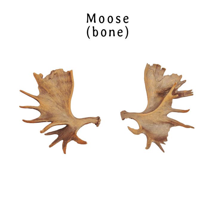 The Scale Grail - Wholesale Decorative Tabletop Object - Moose Antler Replica, Miniature Antlers for 1:12 scale dioramas, horror scenes, terrariums, dollhouse, miniature custom supplies. (set of 2)1