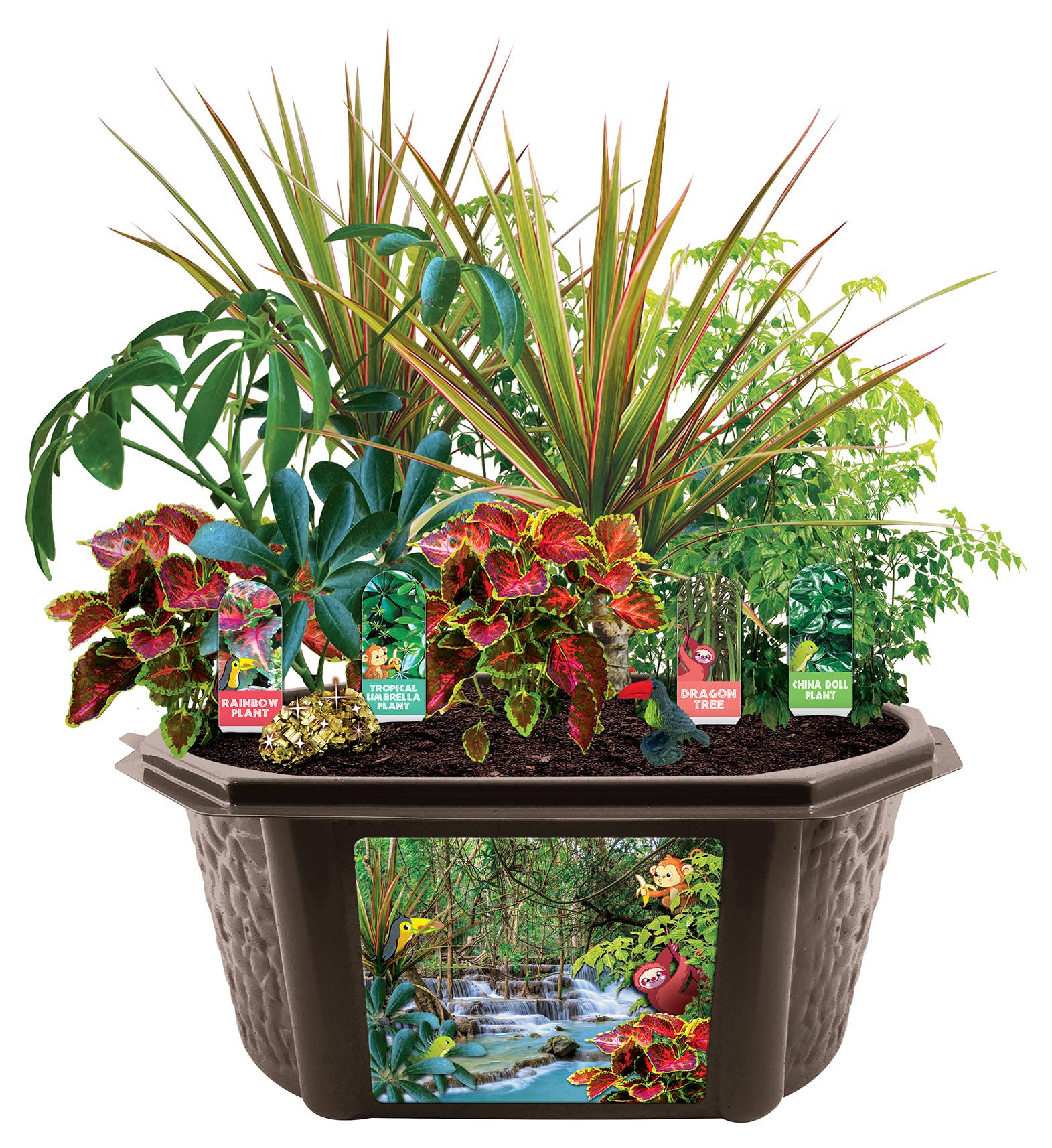 Silver Circle Products - Wholesale DIY Craft Kit - Kids - Tropical Rainforest Jungle Biosphere Terrarium5