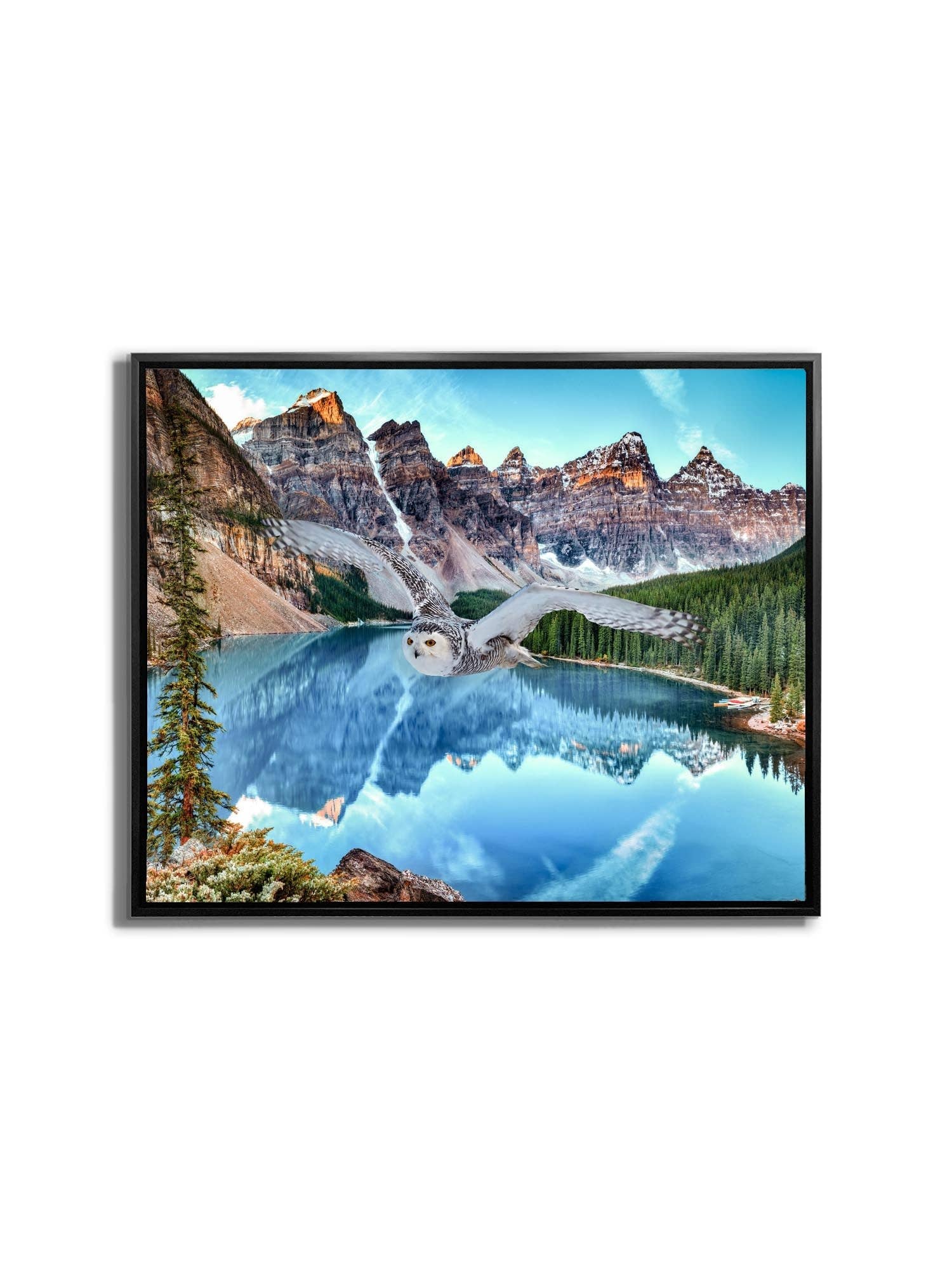 GTA ART - Vendita all'ingrosso Stampa artistica - Arte della fauna selvatica su tela - Gufo delle nevi a Banff - Opera d'arte stampata6