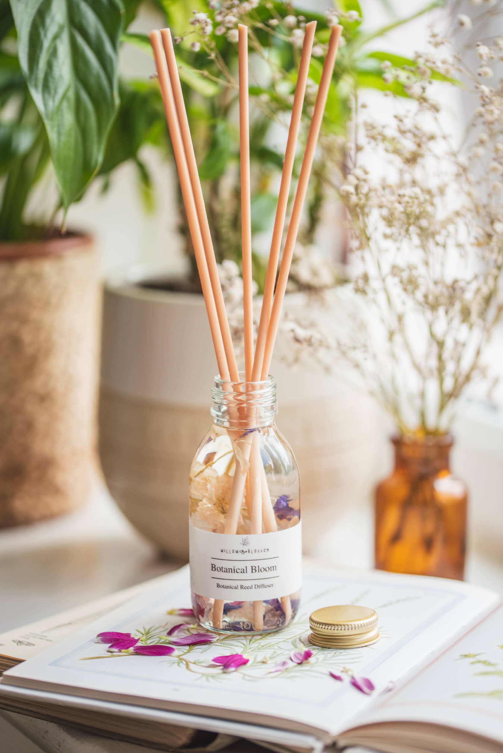 Willow & Blossom Botanicals - Wholesale Reed Diffuser - Botanical Reed Diffuser with dried flowers;choose your scent4