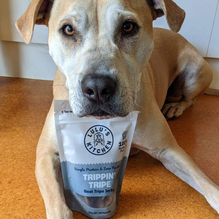 Rover Pet Products - Wholesale Pet Treats - Dog - Trippn’ Tripe - Goat Tripe6