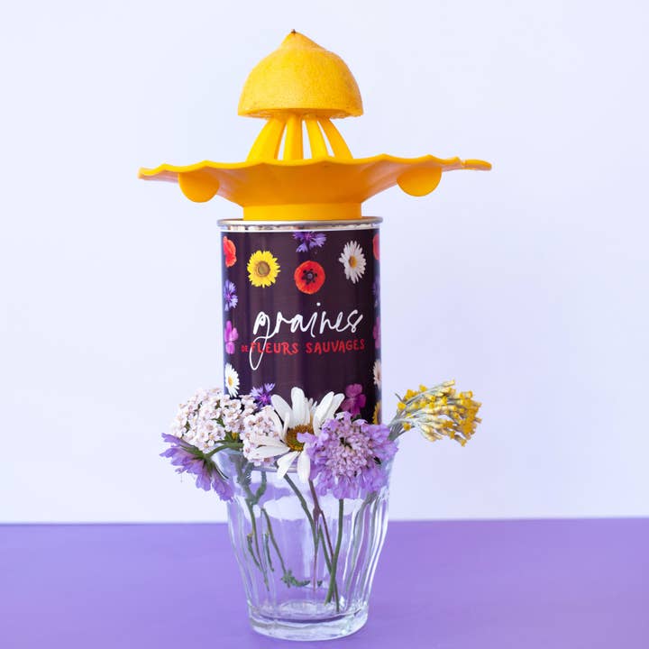 “Wild Flower Seeds Pop” seed kit made in Fra for wholesale by MauvaisesGraines