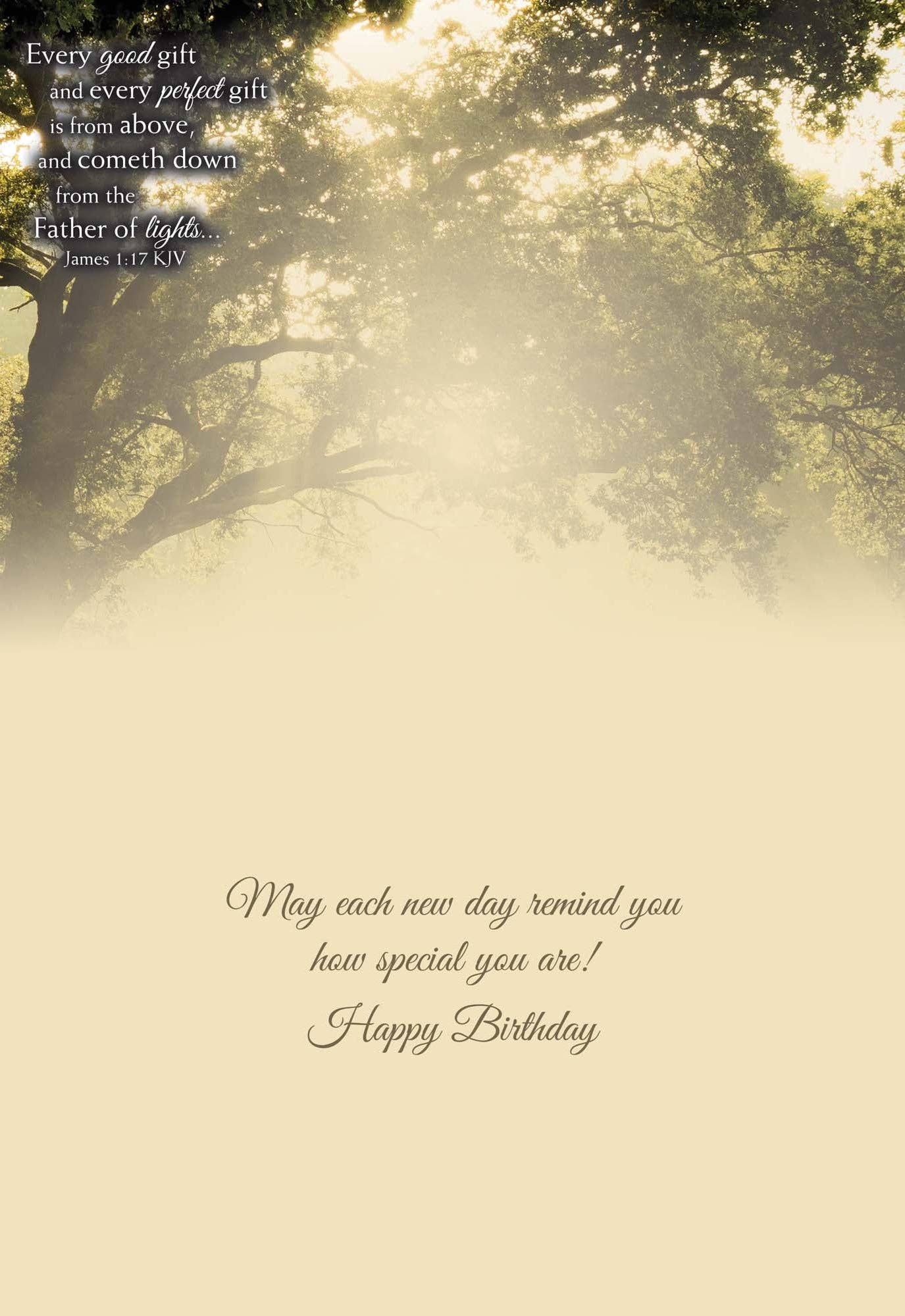 Crown Point Graphics - Wholesale Birthday Card - Celebrations -  48 Assorted Birthday Cards by Shared Blessings31