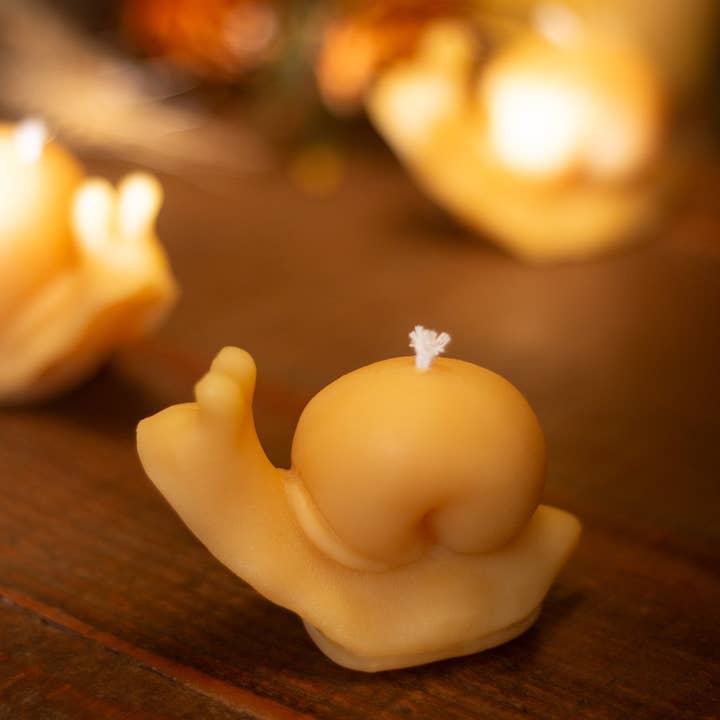 The Ramblin' Bee - Wholesale Novelty Candle - Snail Beeswax Candle