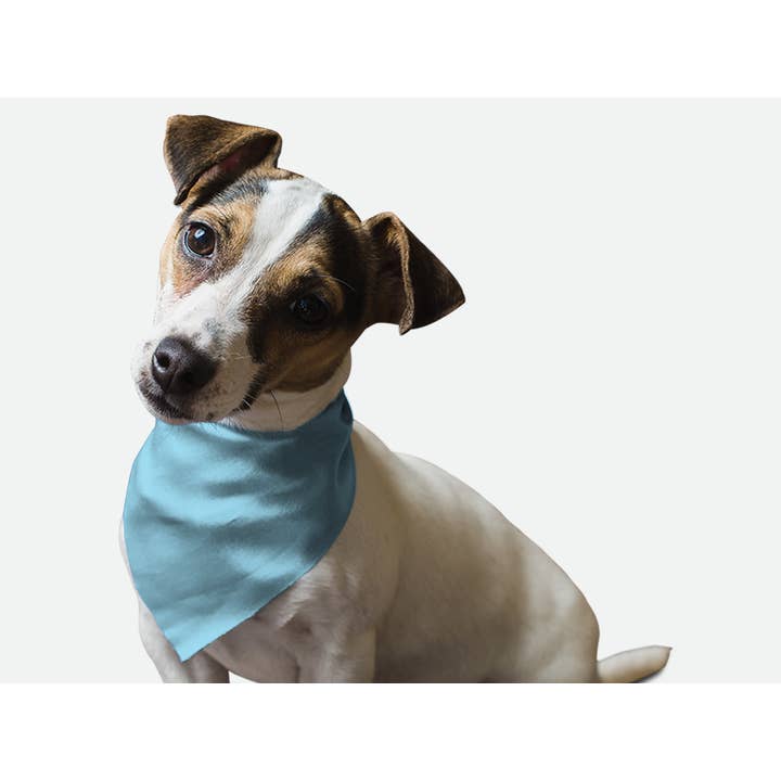 Bandoggies Breeze Pet Bandana - Large Water Bowl Blue for wholesale by Bandoggies