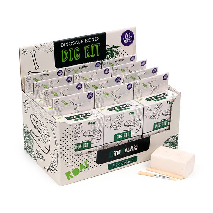 Kit de creusement de fossiles de crâne de dinosaure Rawr pour la vente par Puckator Ltd