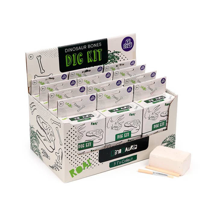 Rawr Dinosaur Skull Fossil Dig-A-Saurs Dig it Out Kit for wholesale by Puckator Ltd