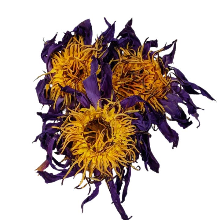 Thé de Lotus Bleu (Nymphaea Caerulea) pour la vente par Snyder's Skincare