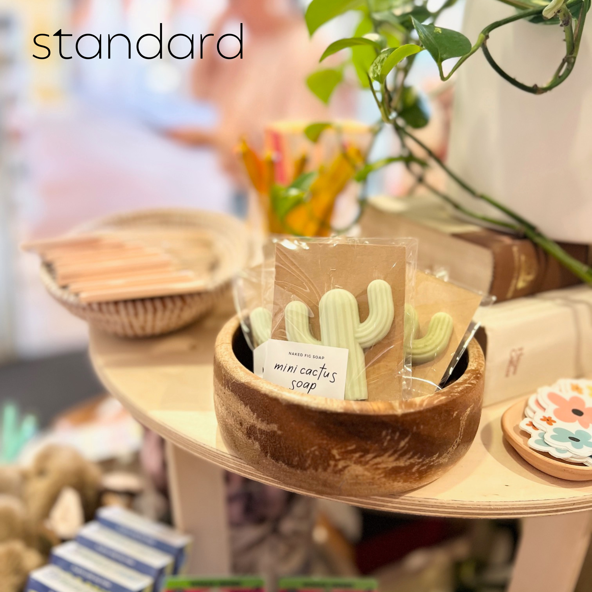 Naked Fig – sabonete sólido por atacado – Mini Sabonete para Cactus - Individual (individual)14