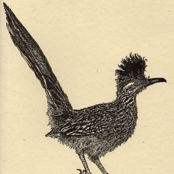 Dandy Lion Press – wholesale Everyday greeting card – Greater Roadrunner Card Letterpress Printed1