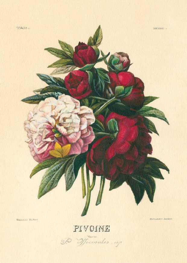 Bomo Art Budapest - Wholesale Everyday Greeting Card - Greeting Card + Envelope118